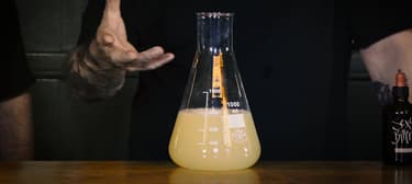 Selbstgemachtes Ginger Ale / Ginger Beer