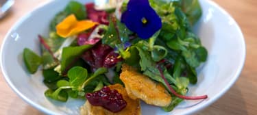 Salat mit knusprig panierter Jil & Preiselbeer-Dressing