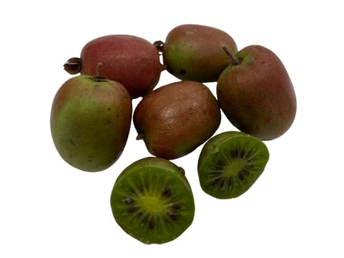 Baby Kiwi