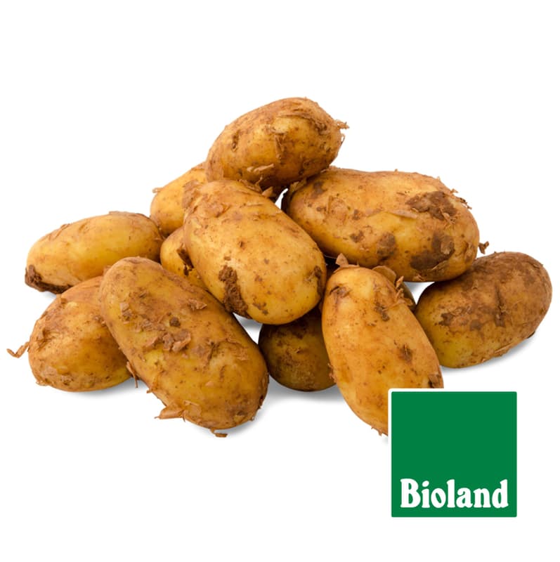 BIO Kartoffeln festkochend, Netz