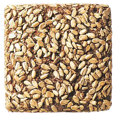 Harry Vollkorn-Sonnenbatzen