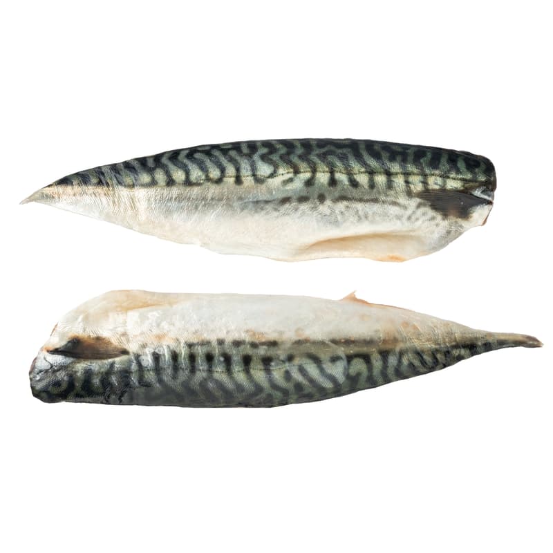 Makrelen Filets mit Haut