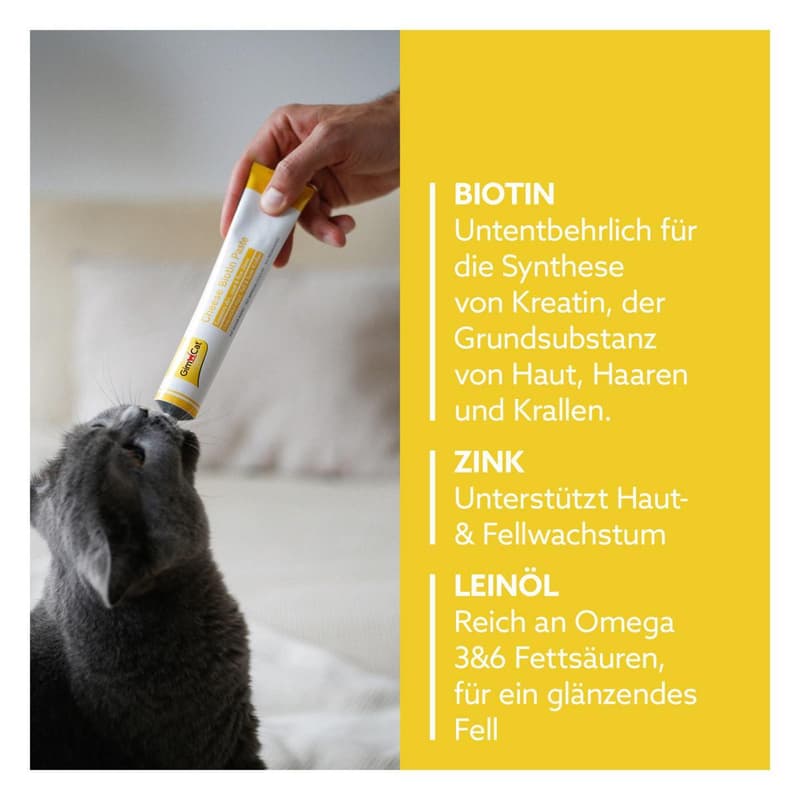 GimCat Cheese-Biotin Paste 50g