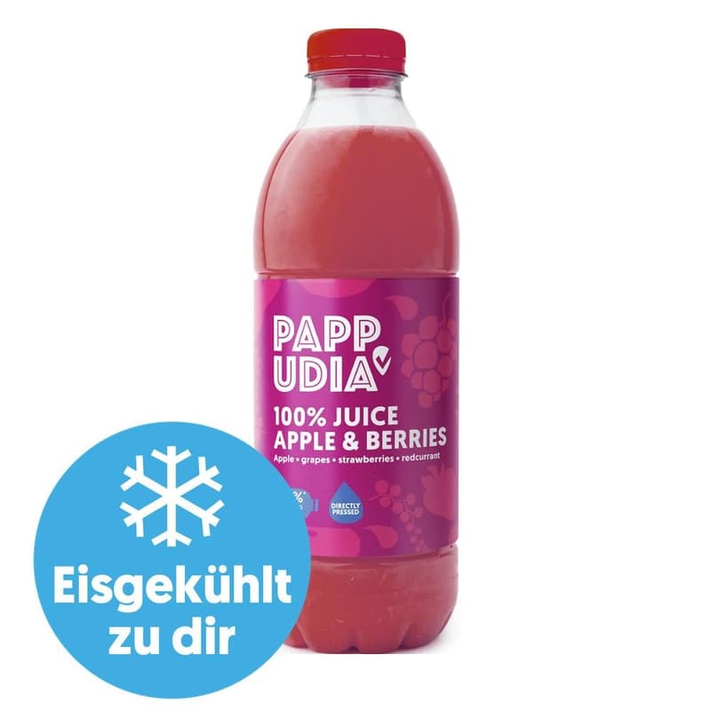 PAPPUDIA Apfel- und Beerensaft - gekühlt 1L (EINWEG)