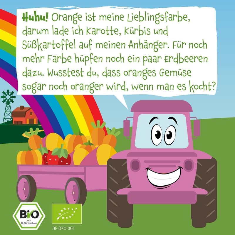 Pumpkin Organics Bio Quetschie: Süßkartoffel, Kürbis, Karotte, Erdbeere