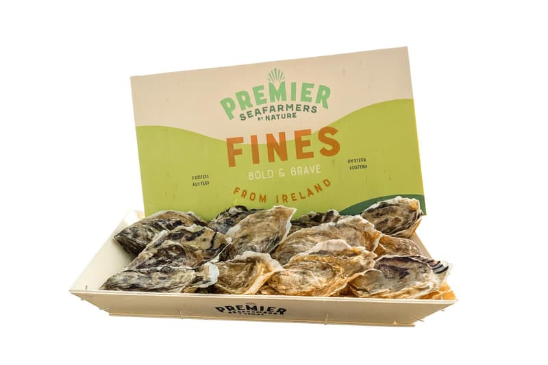 Preimier Irische Austern Fines Nr. 3, 12 Stk.
