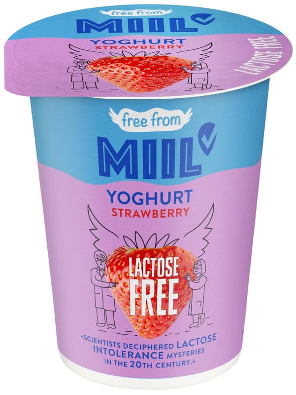 MIIL Joghurt 3,5% Erdbeere Laktosefrei