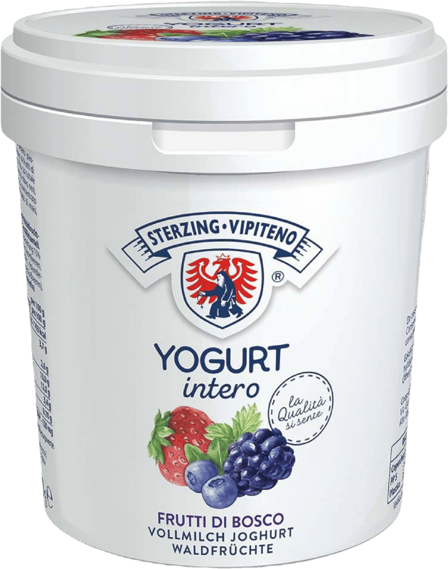 Sterzing Joghurt Waldfrucht