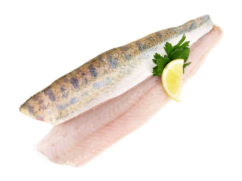 Zander Filet mit Haut