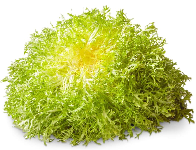 Frisée, 1 Stk.