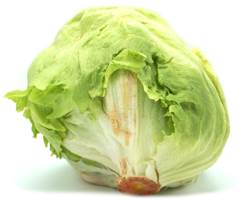 Iceberg lettuce