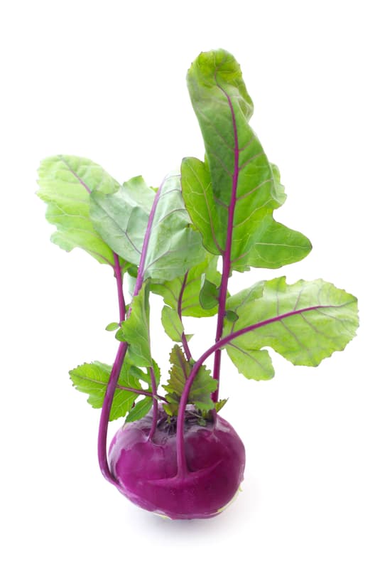 Reinheimer`s Kohlrabi violett, 1 Stk.