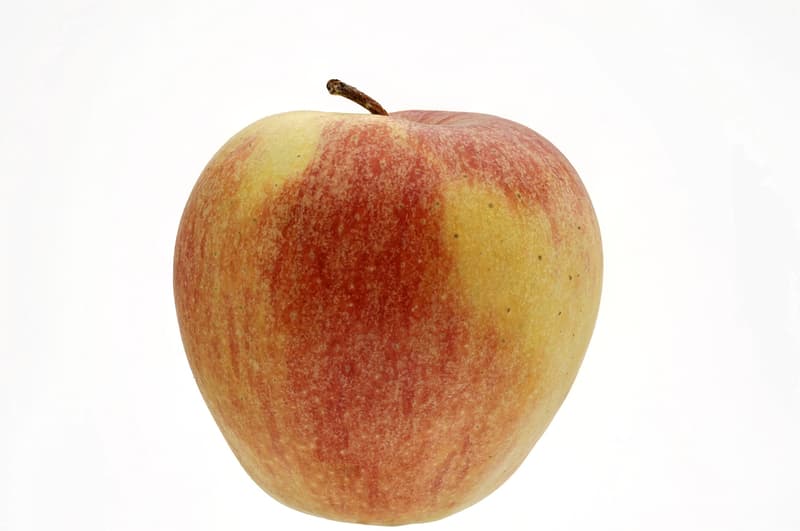 BIO Apfel Elstar, 1 Stk.