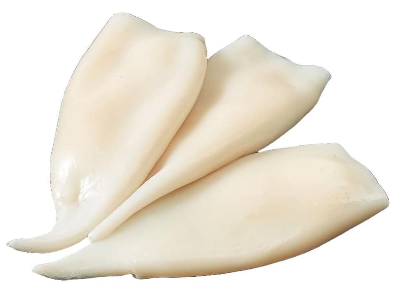 Seacon squid tubes