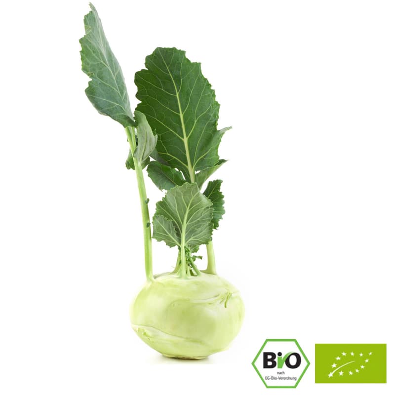 BIO Kohlrabi, 1 Stk.