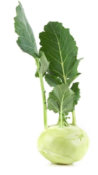 BIO Kohlrabi, 1 Stk.