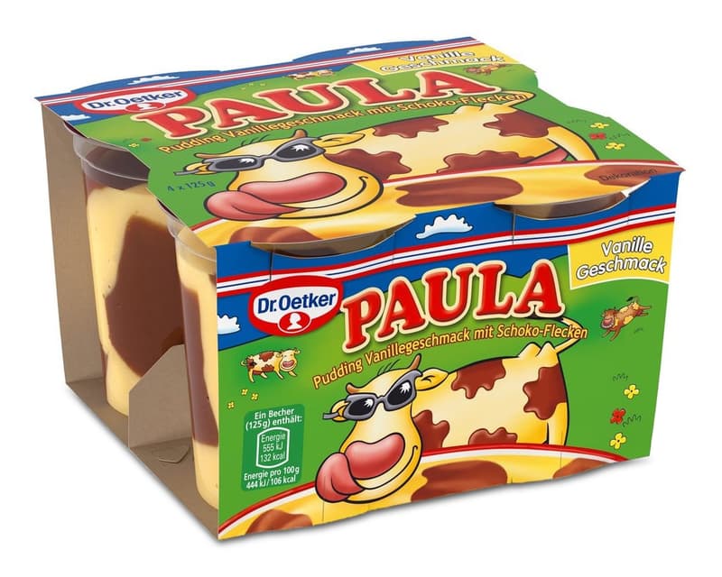 Dr. Oetker Paula Vanillepudding mit Schoko