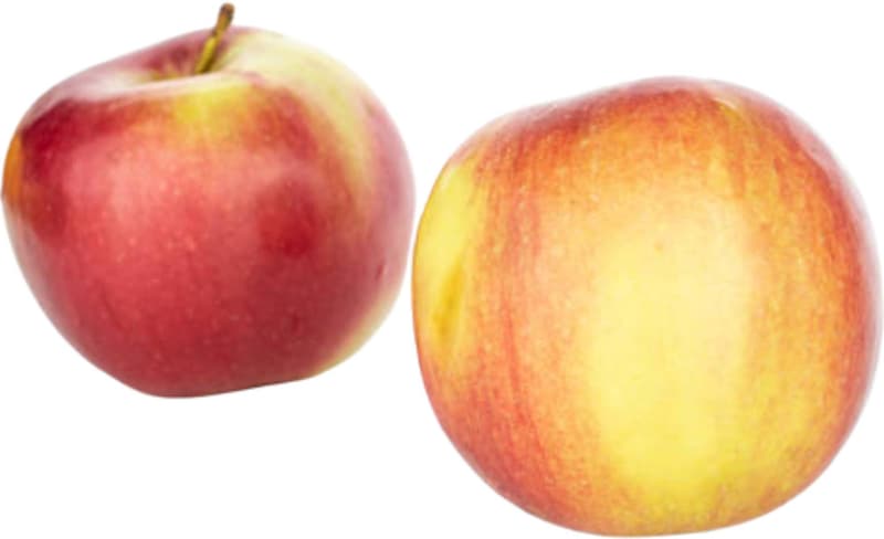 Apfel Jonagold