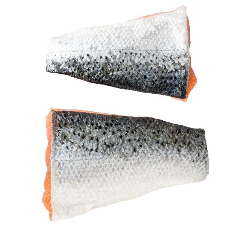 FJORU ASC Salmon Tail Piece with Skin FEEDING REVOLUTION