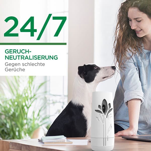 Air Wick Freshmatic Max Nachfüller DUO Cotton & Weißer Flieder