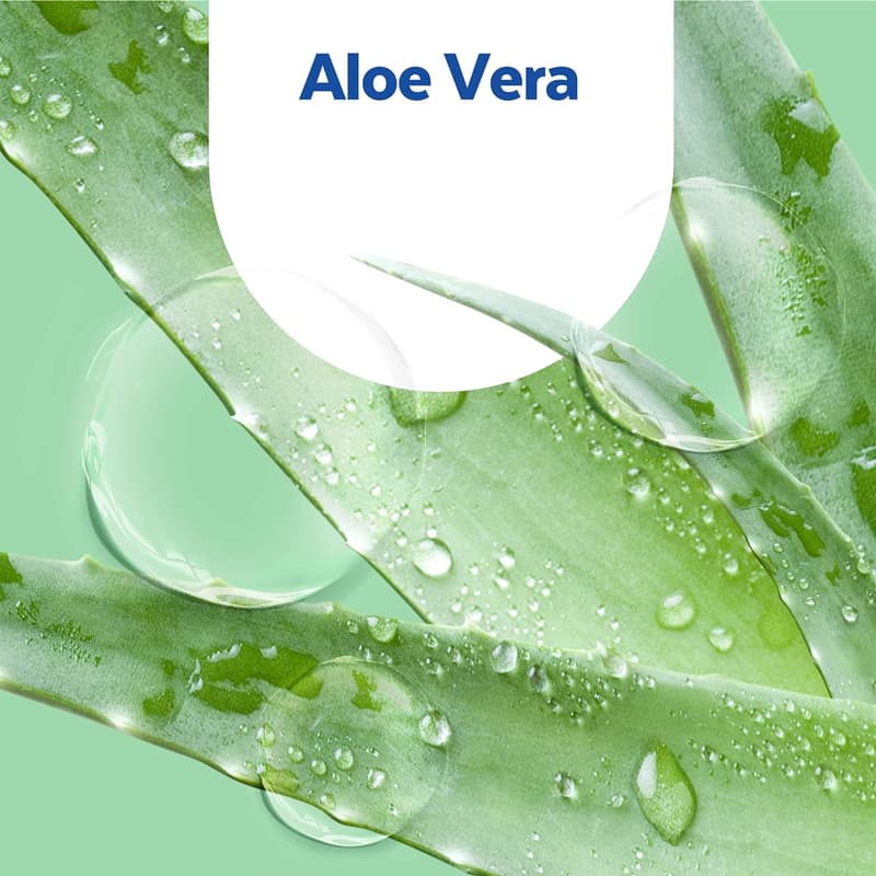 Sagrotan Hygieneseife Aloe Vera