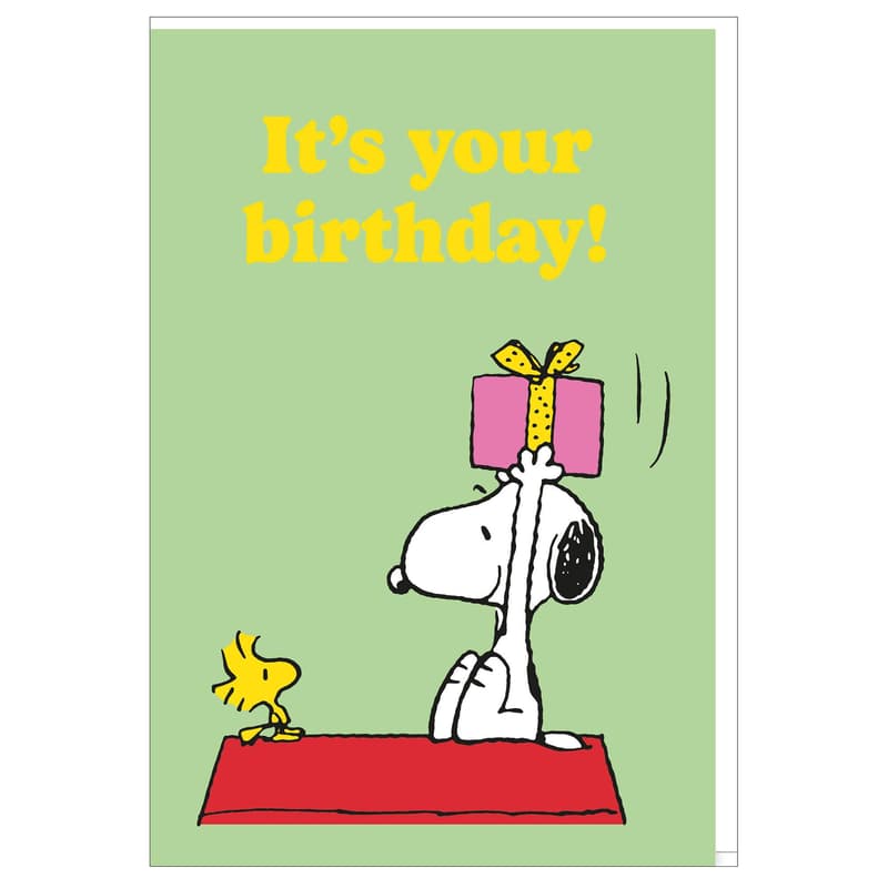 Grußkarte 11,5x17cm "Geburtstag Snoopy"