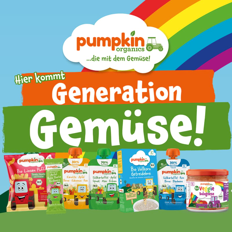 Pumpkin Organics - Bio Erdbeere Fruchtchips