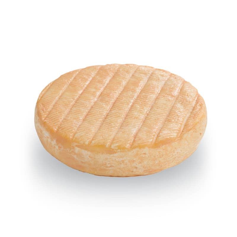 Tölzer Kasladen Munster