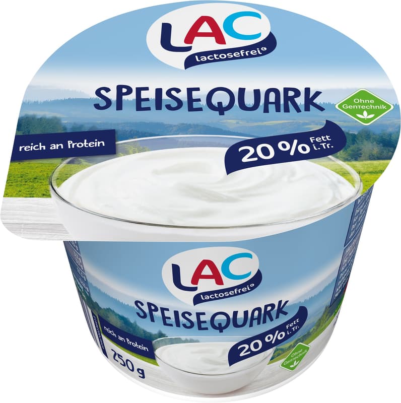 SWM LAC Curd Cheese 20% Fat, Lactose-free*, 8 x 250 g