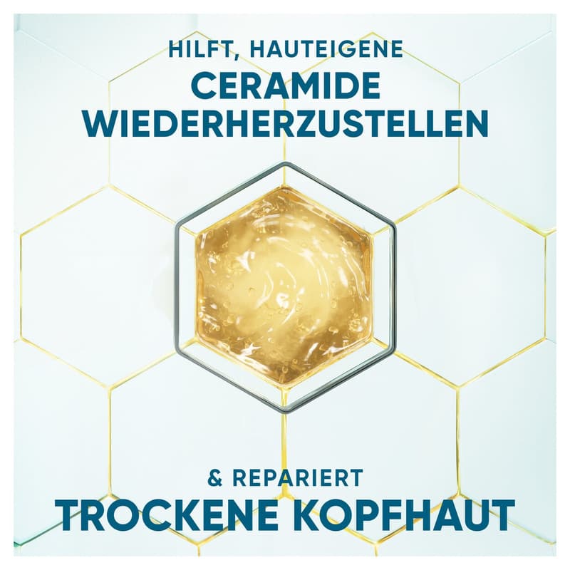 Head & Shoulders DERMAXPRO Hydra Care Anti-dandruff shampoo & scalp care for dry scalps