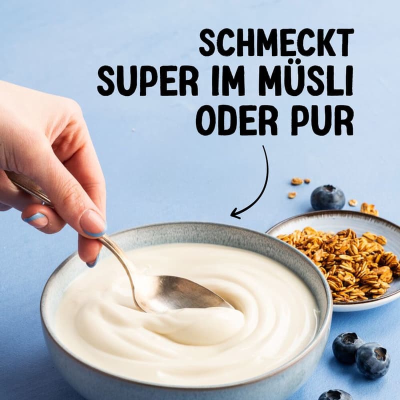 Alpro Joghurt Soja Natur VEGAN