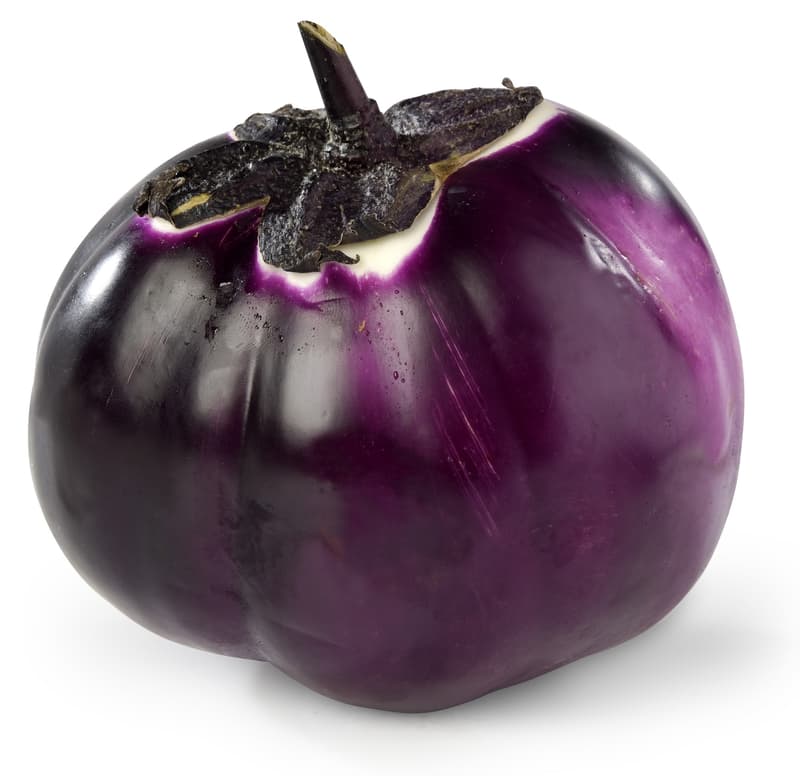Aubergine - Tonda di Firenze, 1 Stk.