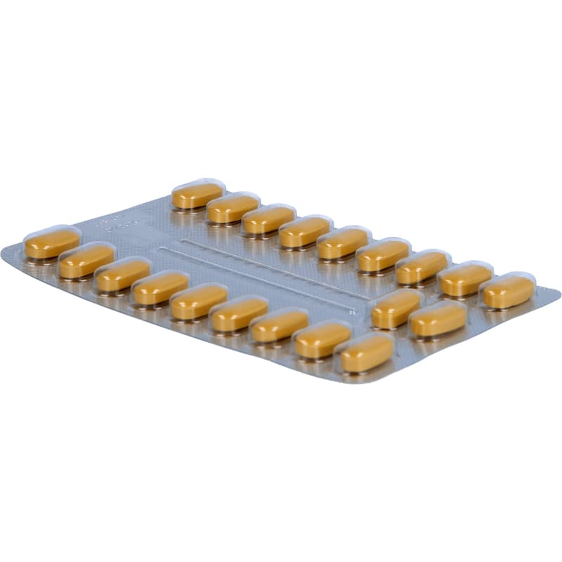 TEBONIN intens 120 mg film-coated tablets