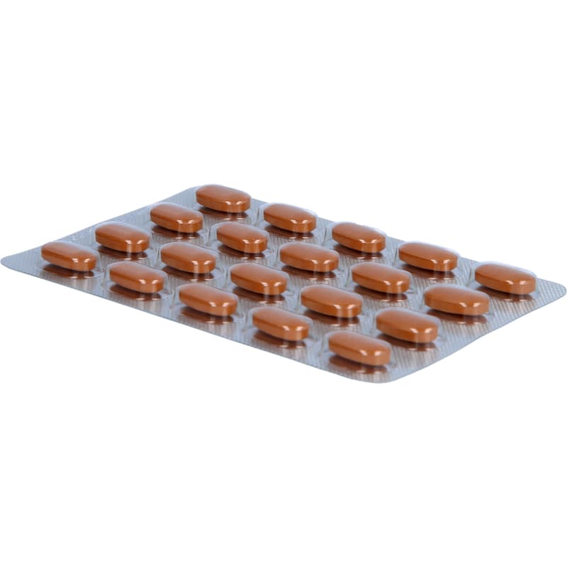 TEBONIN concentrate 240 mg film-coated tablets