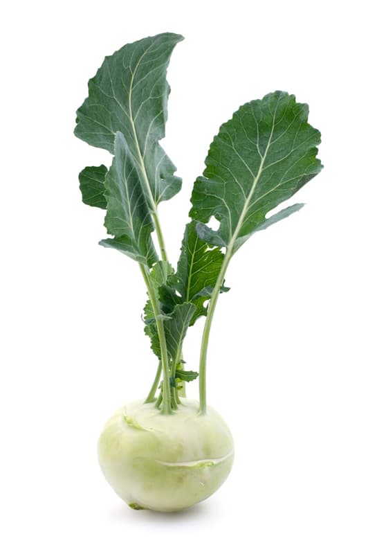 Watzkendorf's BIO Kohlrabi, 1 Stk.