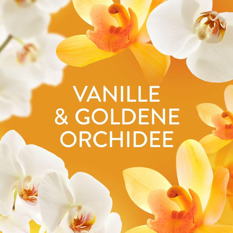 Lenor Weichspüler, Goldene Orchidee