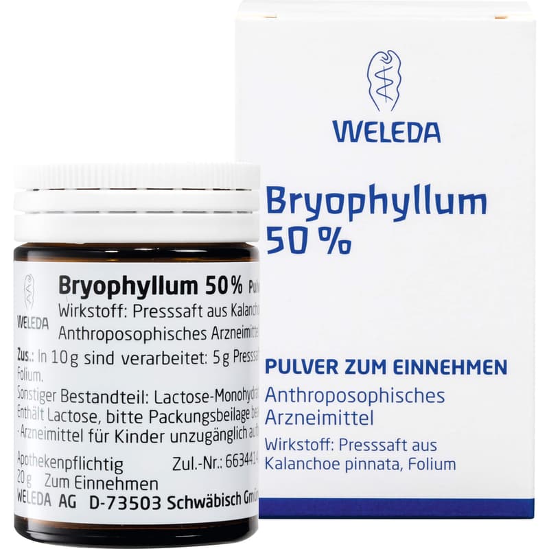 BRYOPHYLLUM 50% Pulver zum Einnehmen