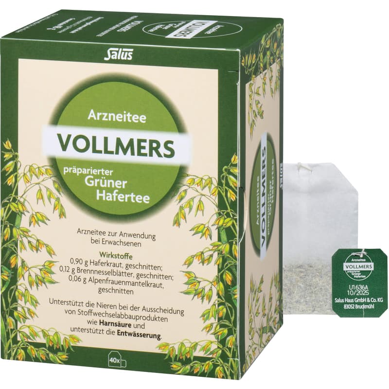 VOLLMERS präparierter grüner Hafertee Filterbeutel