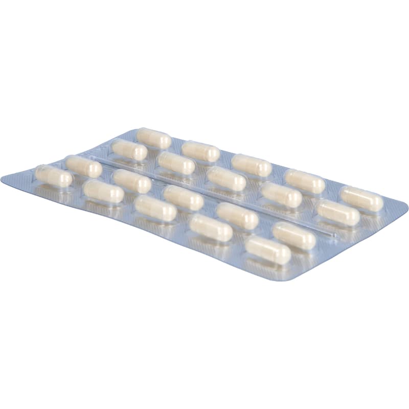 DOLOCTAN forte Kapseln