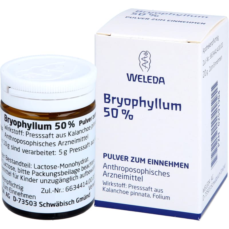 BRYOPHYLLUM 50% Pulver zum Einnehmen