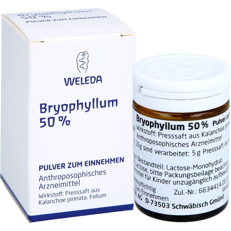 BRYOPHYLLUM 50% Pulver zum Einnehmen