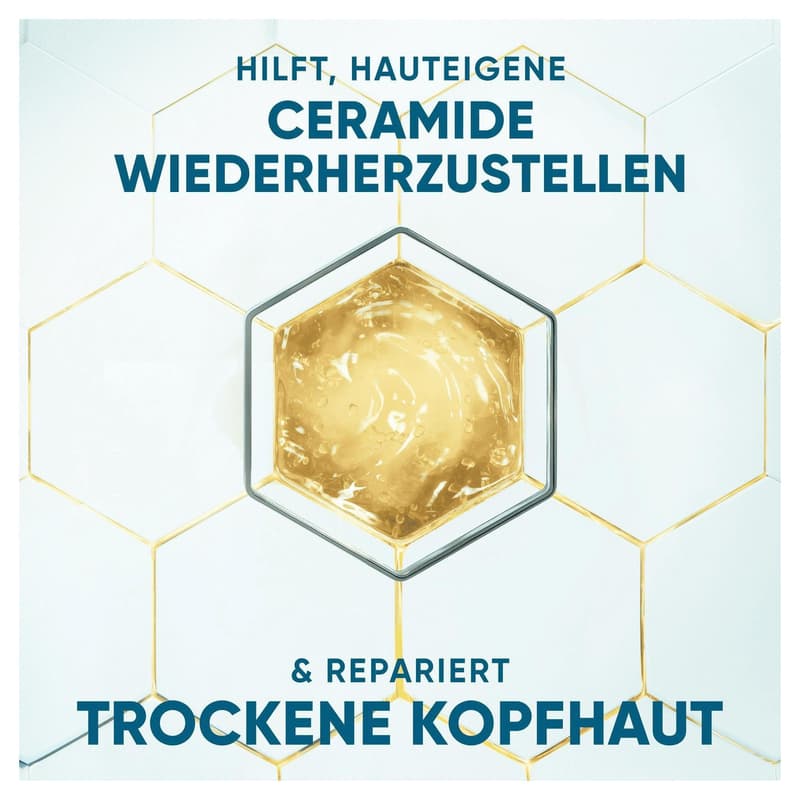 Head & Shoulders DermaXPro Anti-Dandruff Shampoo Aloe Vera Extract