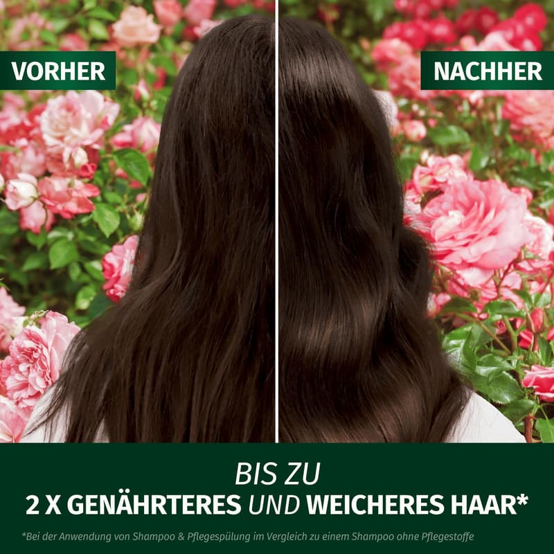 Herbal Essences Schwereloses All In 1 Leave-In Spray mit Rosenduft