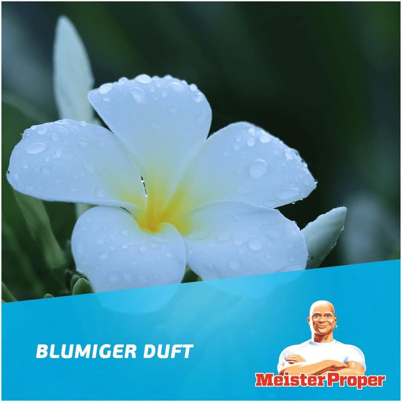 Meister Proper Allzweckreiniger - Frühlingserwachen-Duft