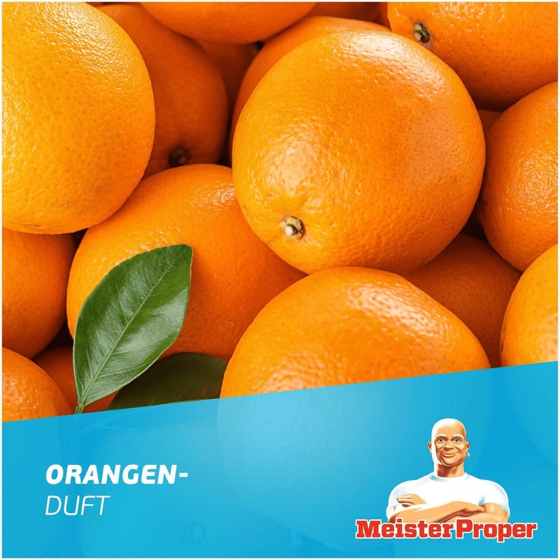 Meister Proper Küchenreiniger Fettlösend - Orange