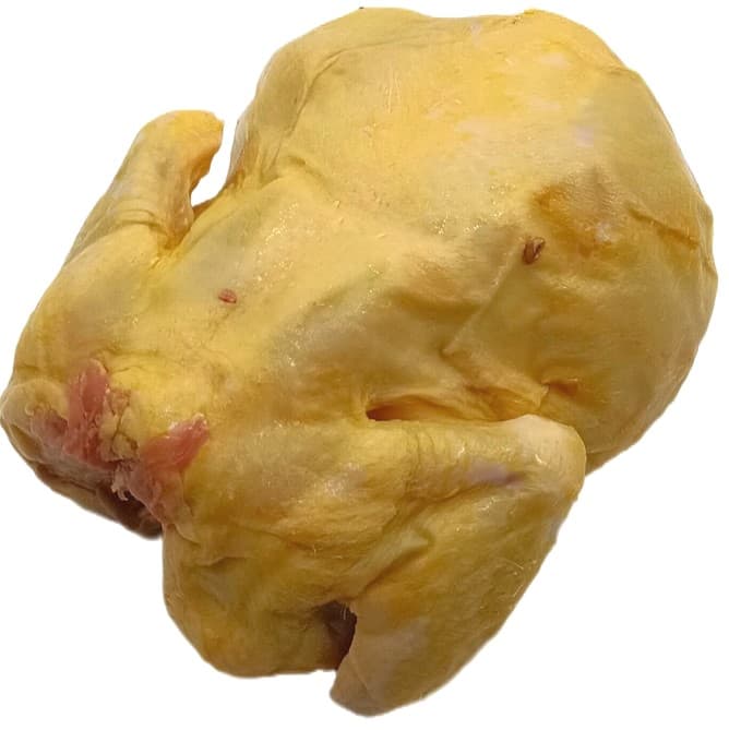 Prignitz corn-fed chicken whole