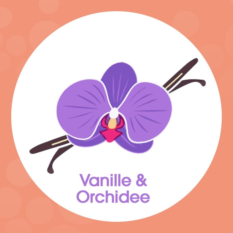 Sagrotan Samt-Schaum Seife Vanille & Orchidee