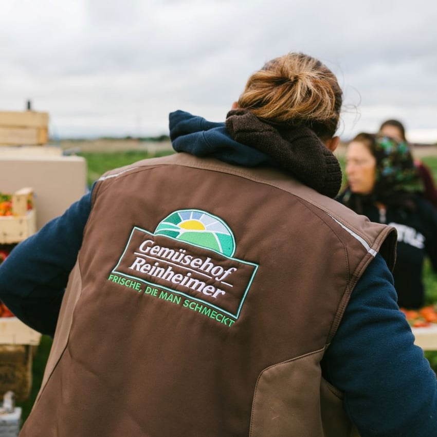 Regional, regionaler, Reinheimer